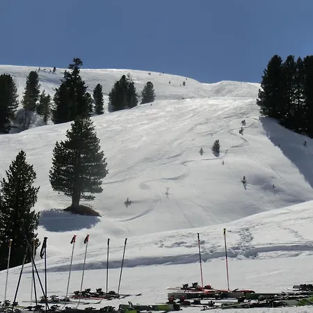 Finkennest 別荘 Neukirchen am Großvenediger