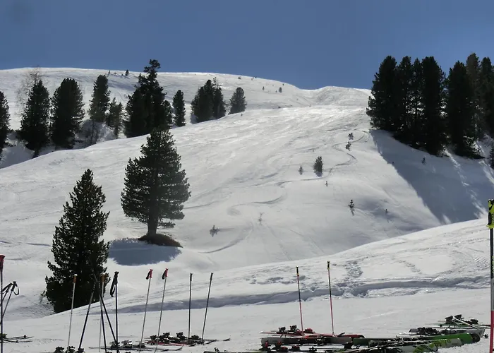 Finkennest Tatil Evi Neukirchen am Großvenediger